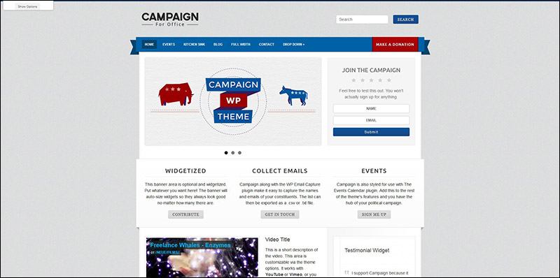 Campaign - Political WordPress Theme