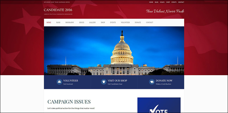Candidate - Political / Non-profit WordPress Theme
