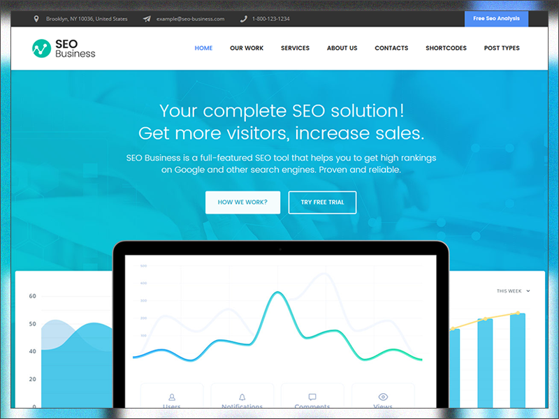 SEO Business - SEO, Social Media and Marketing WordPress Theme