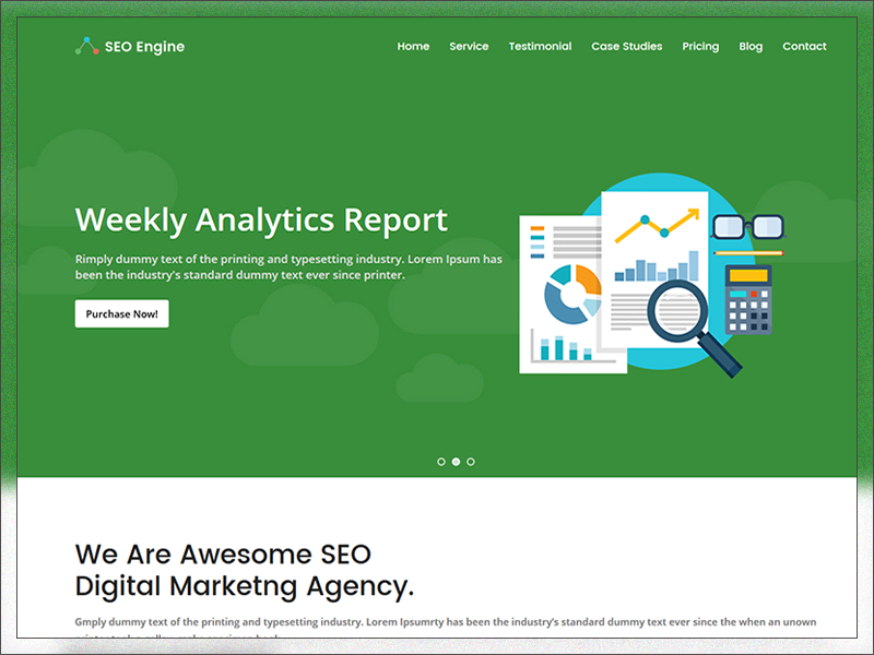 SEO Engine - SEO & Digital Marketing Agency WordPress Theme