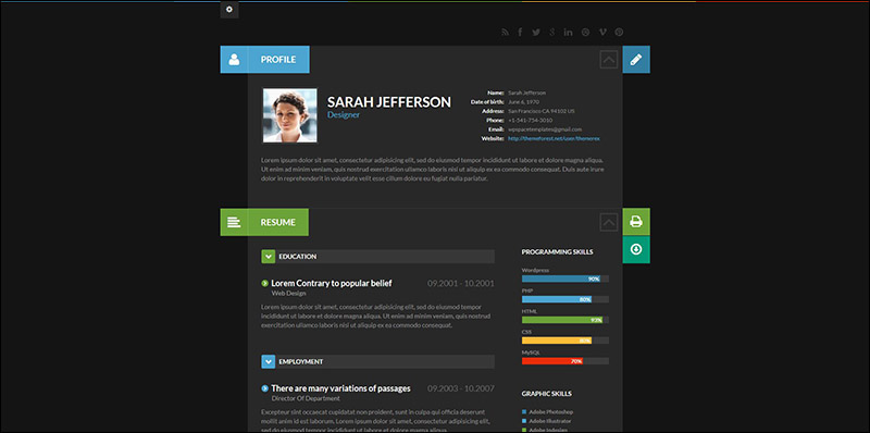 ShiftCV - Blog \ Resume \ Portfolio \ WordPress