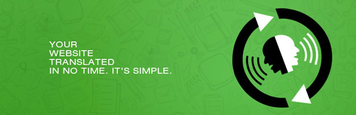 Google website Translator