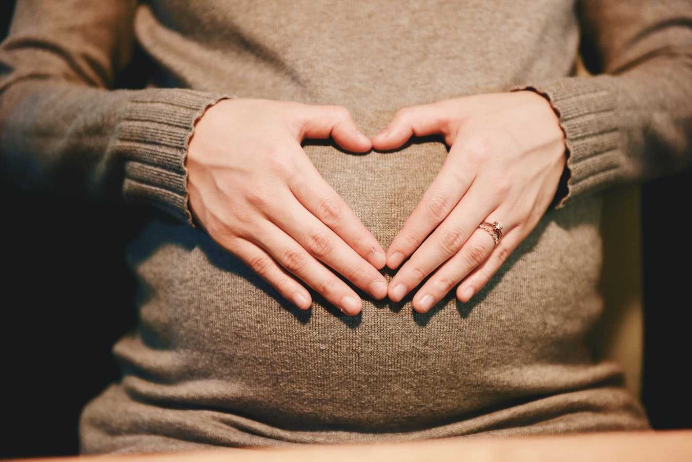 egg donor