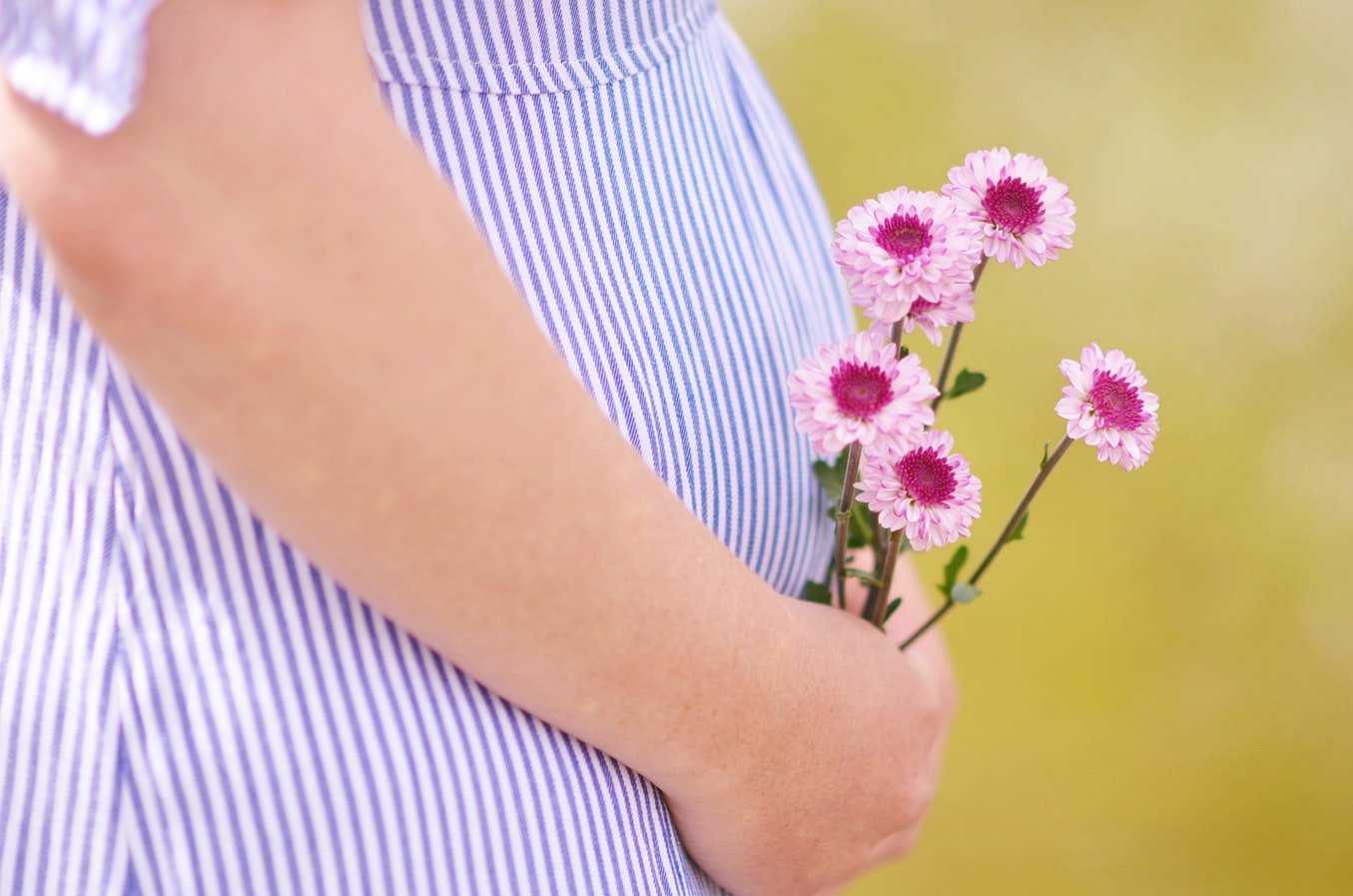 egg donor