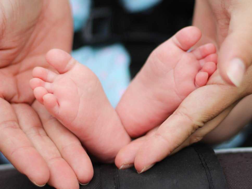 egg donor