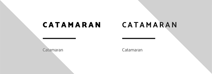 Catamaran