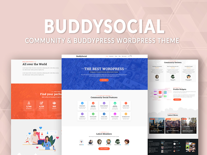buddysocial