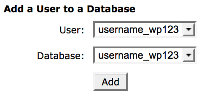 add user to a database