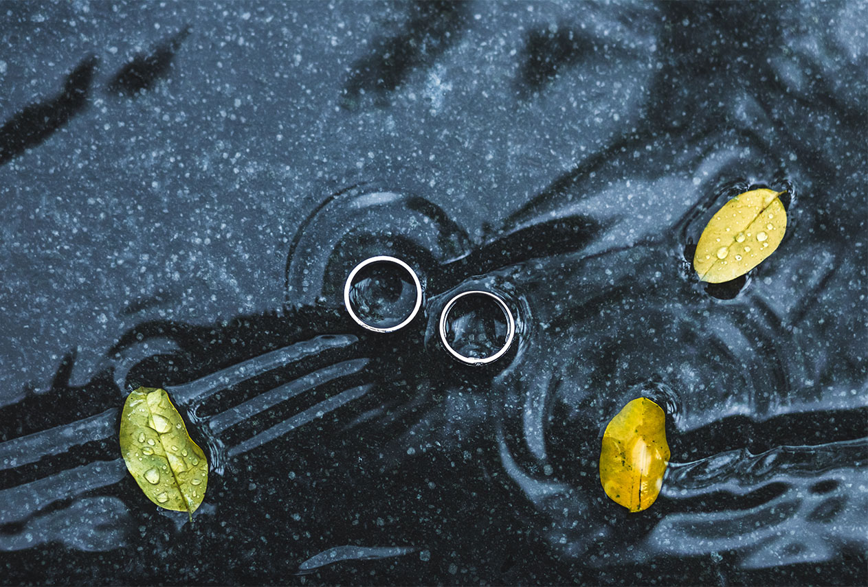 WordPress Jewelry Shop