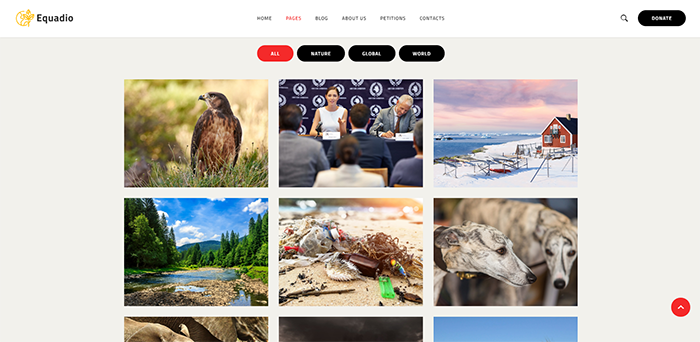 Essential Grid and Revolution Slider