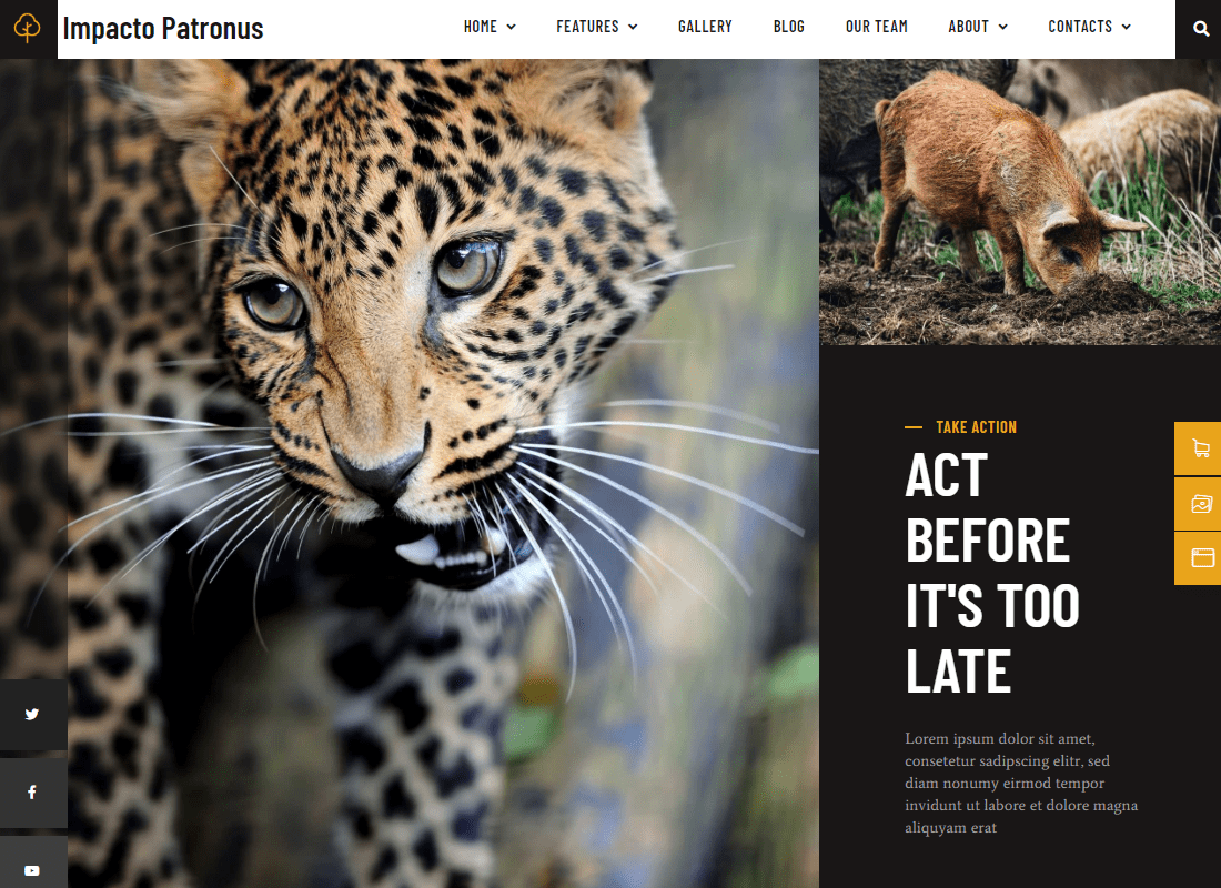 Impacto Patronus - Petitions & Social Activism Template Kit