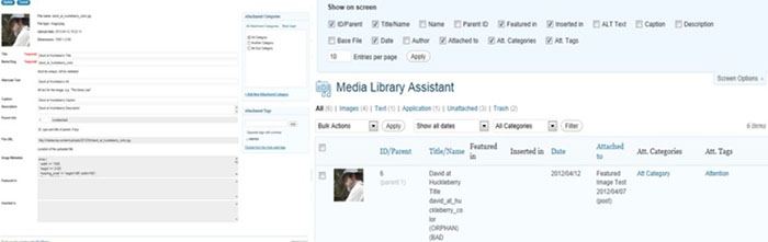 media libraray assistant