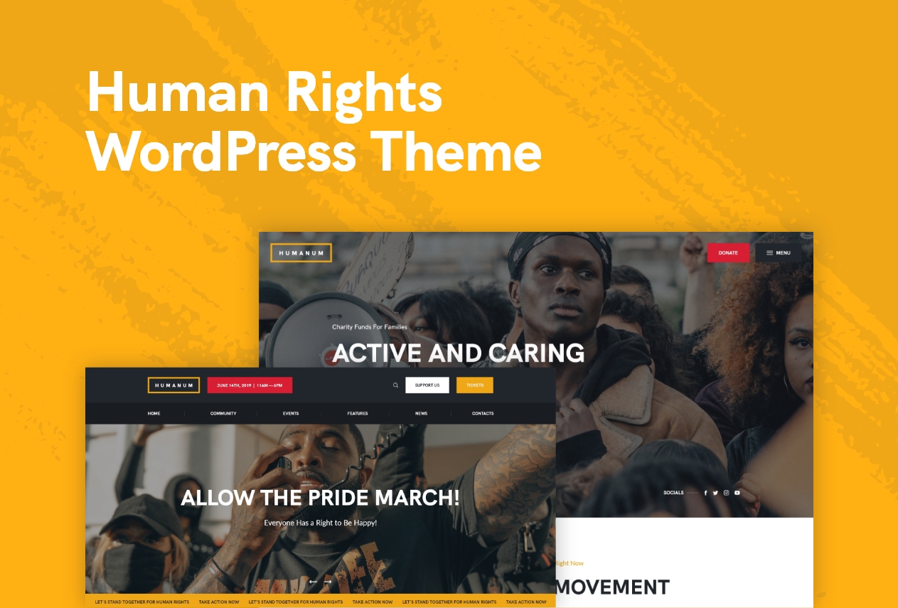 human rights WordPress theme