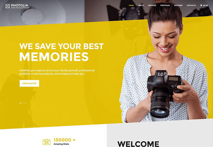 photolia nulled wordpress theme