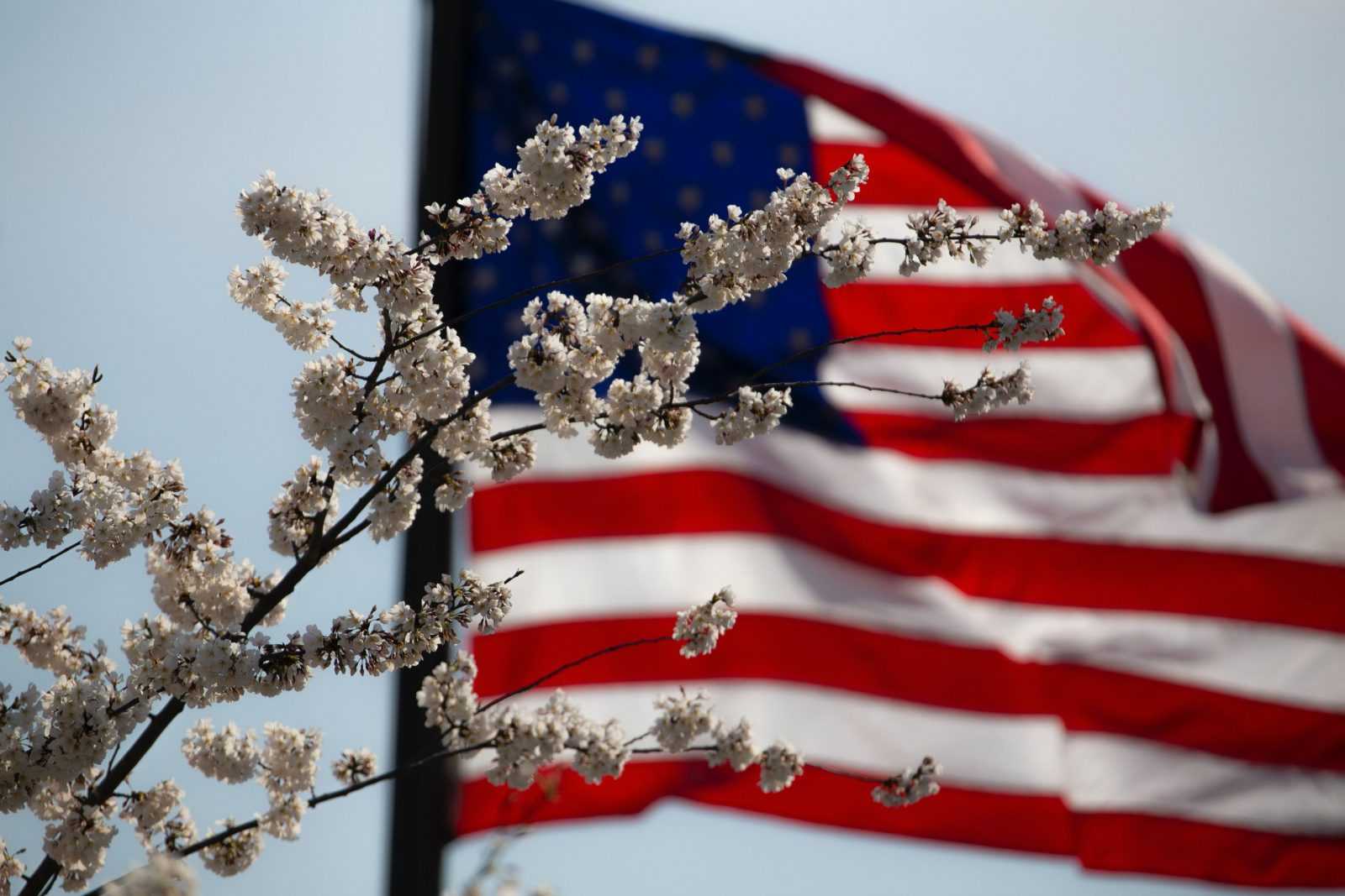 flag