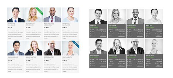Modern Team Showcase WordPress Plugin