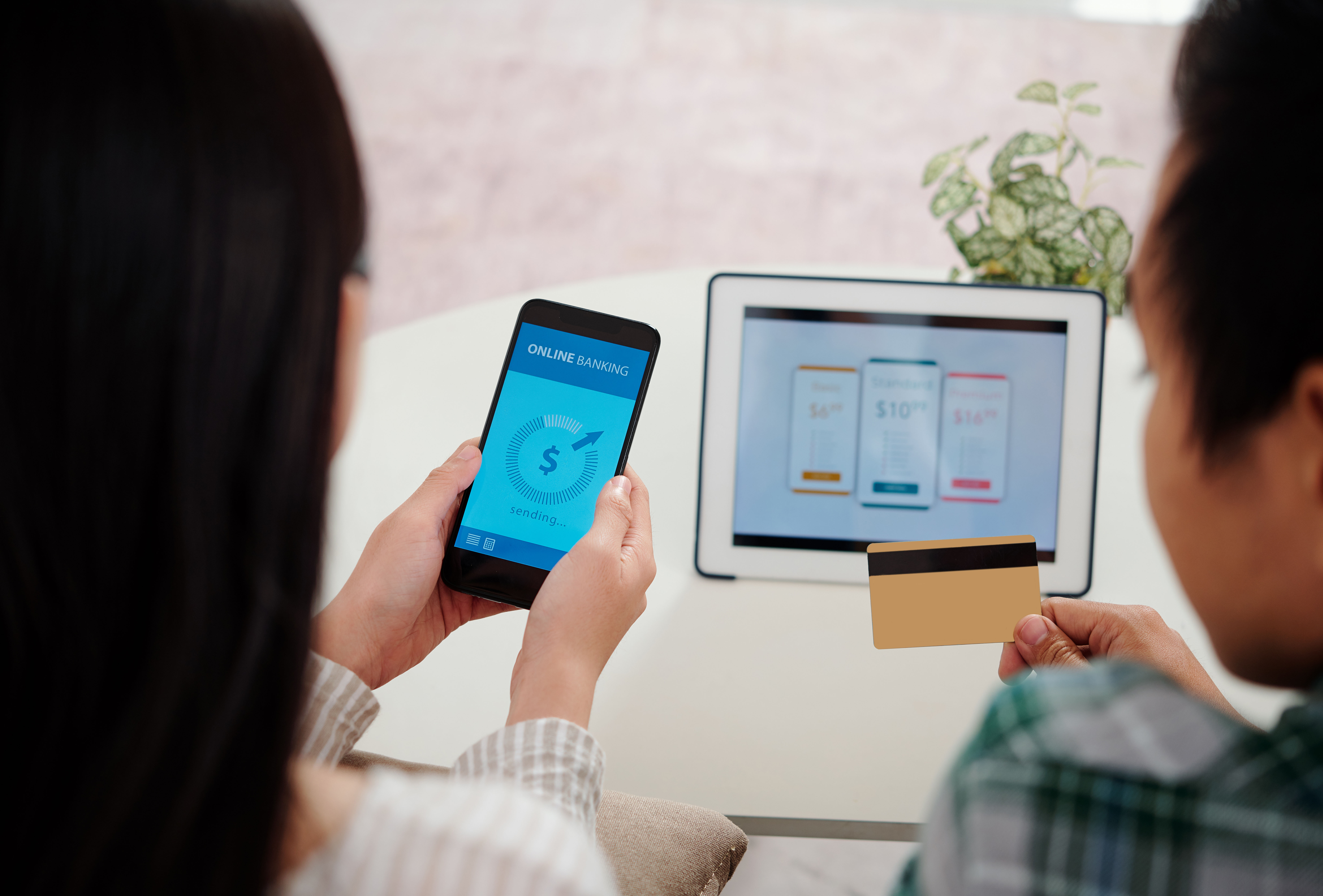 Subscription Business