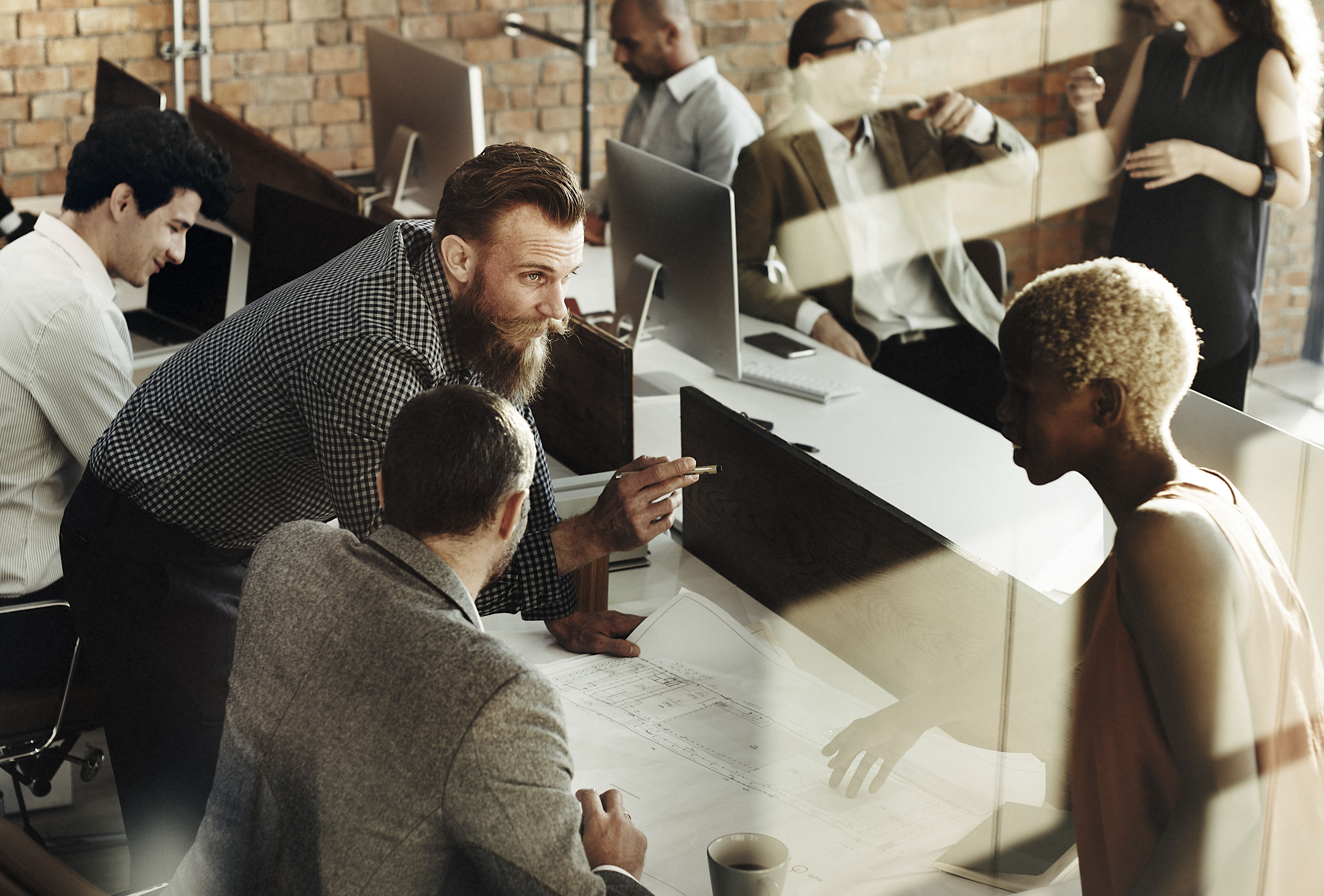 web development team