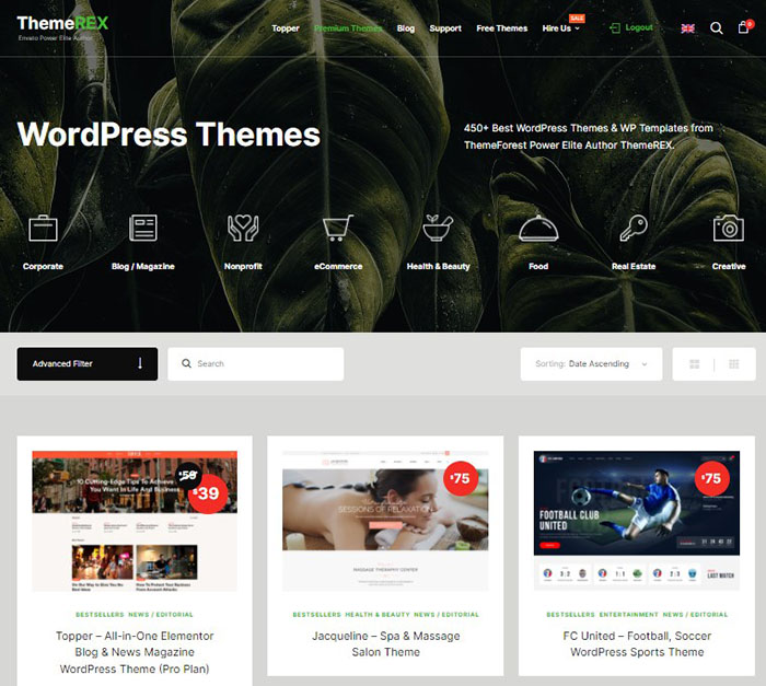 WordPress themes