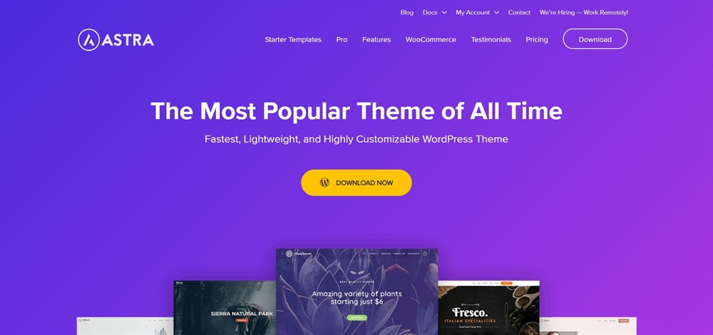 WordPress themes