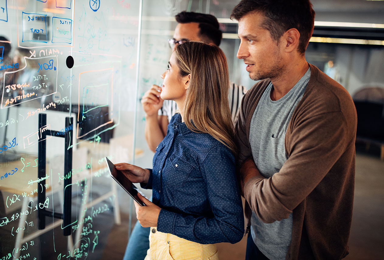 software development