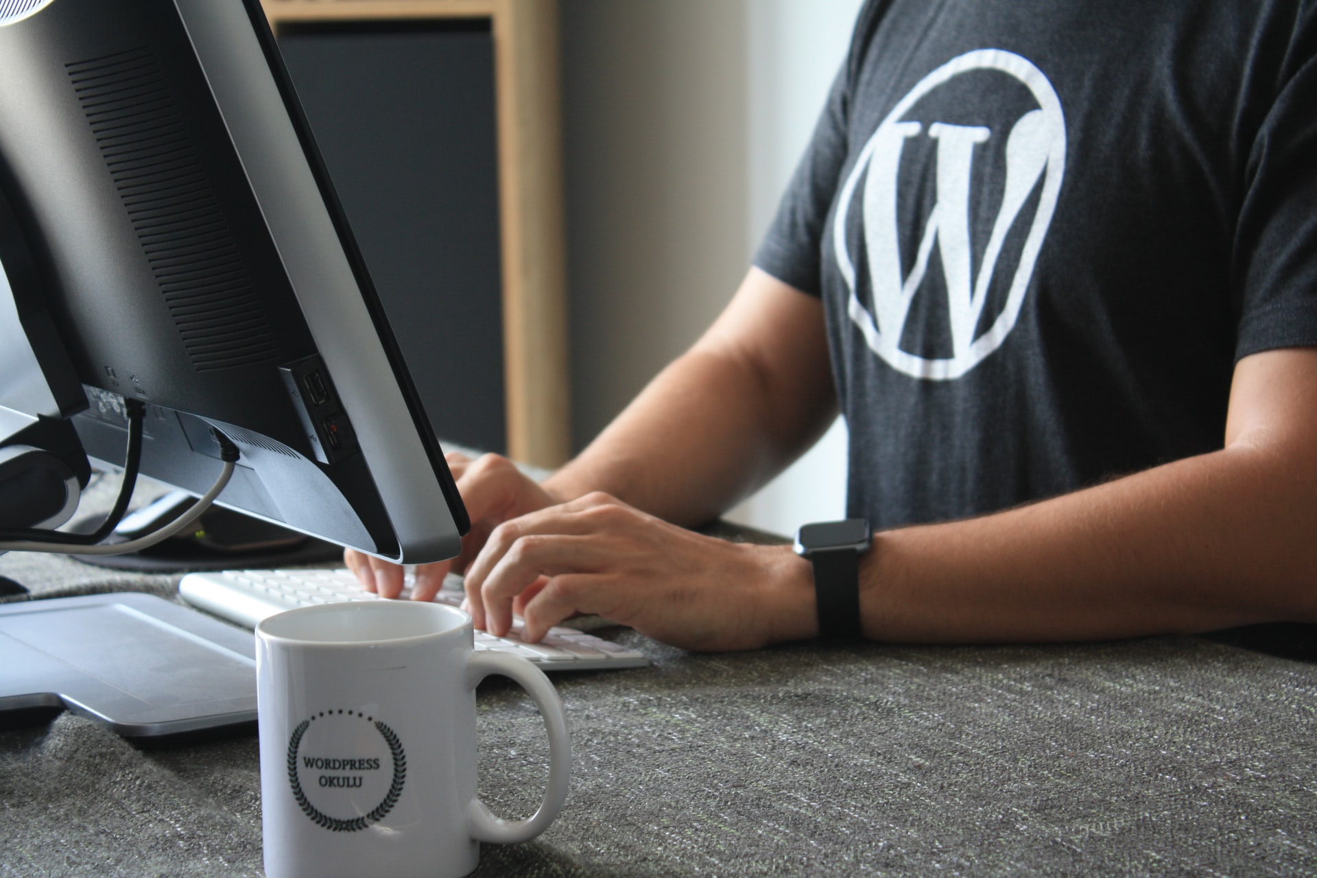 WordPress development