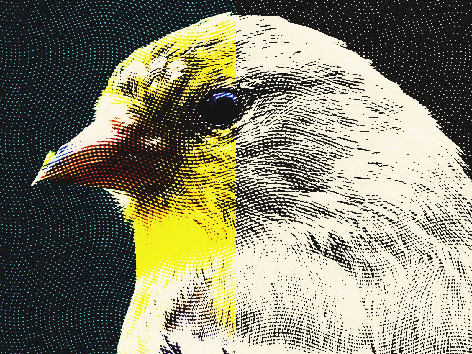 Engraved Money Effect