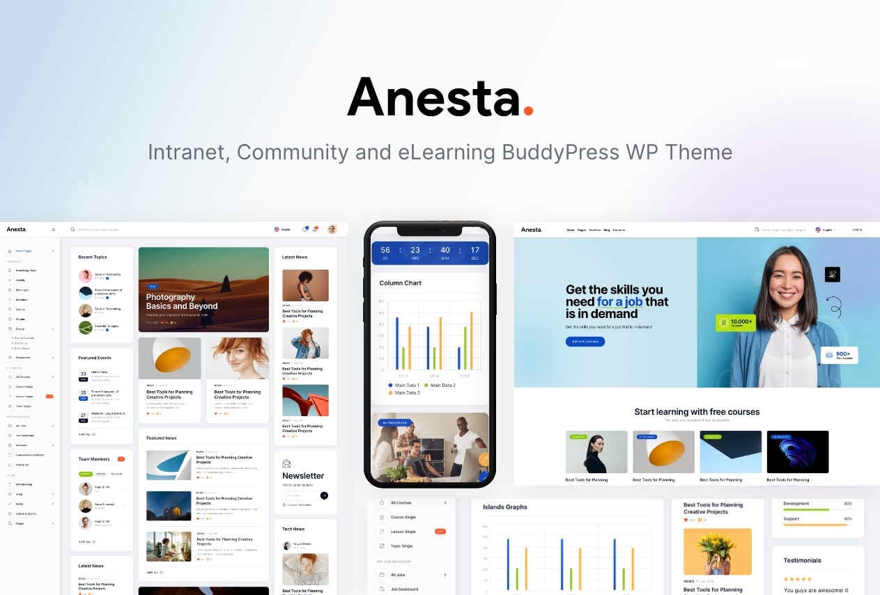 Anesta - Intranet, Extranet, Community and BuddyPress WordPress Theme