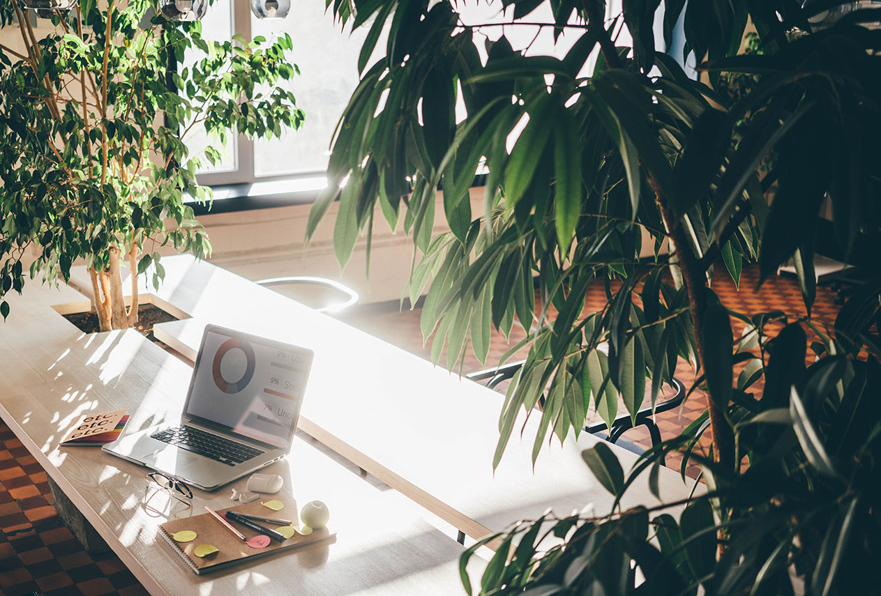 Outsourcing Web Security