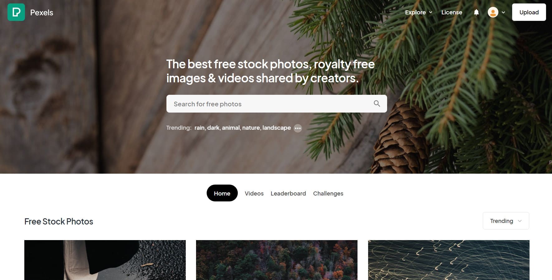 Pexels website homepage