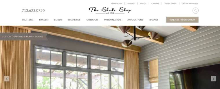 Website launch example