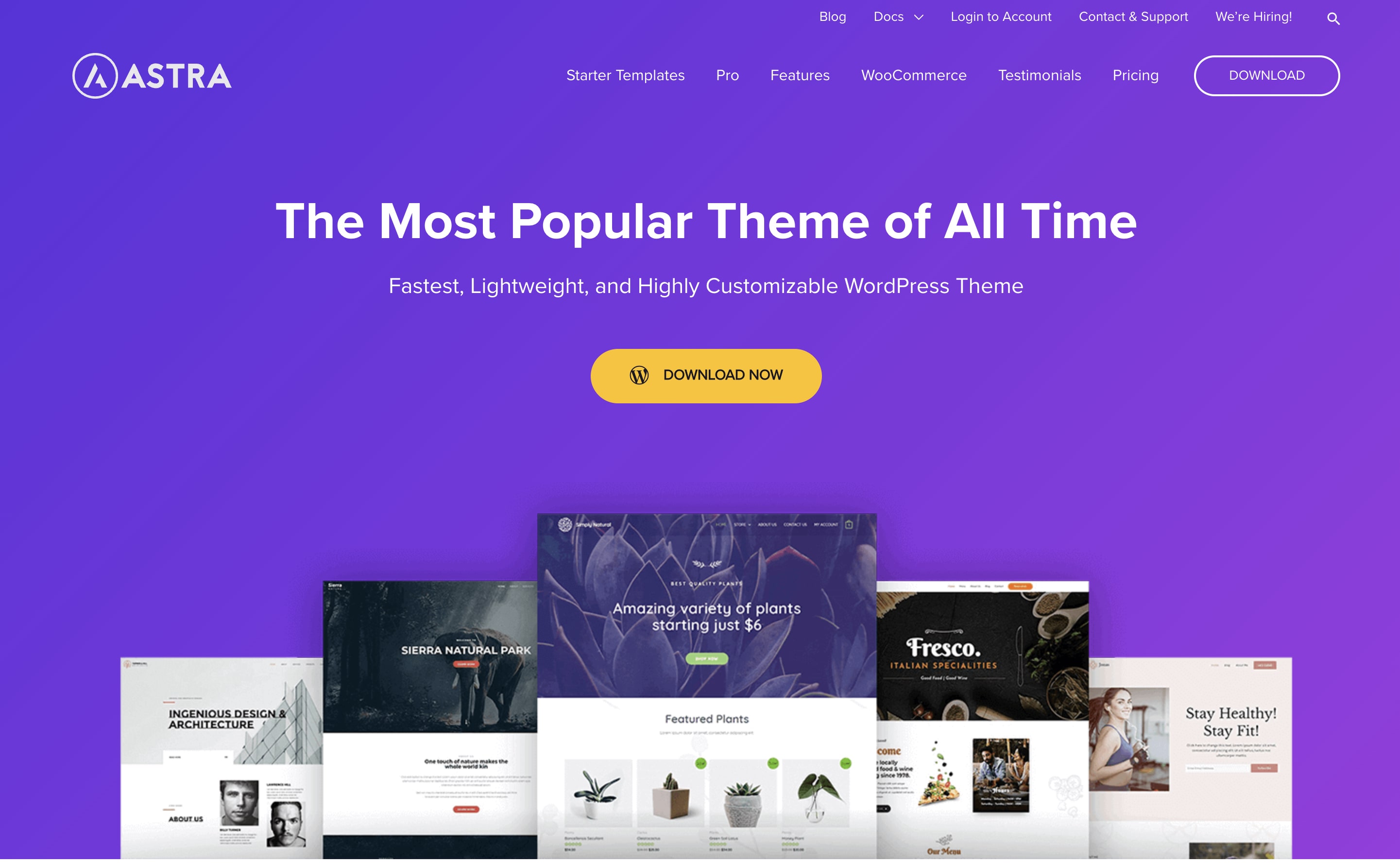 Astra WordPress theme