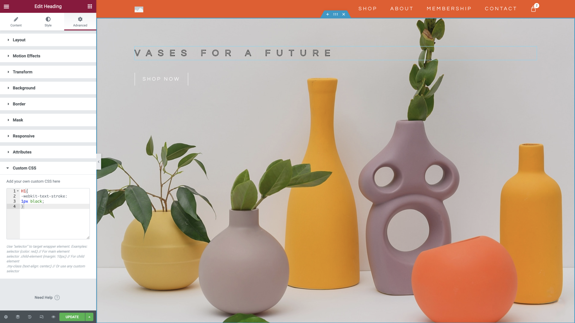 CSS Controls for Advanced Design Customization