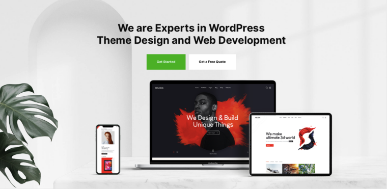 Custom WordPress Development