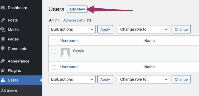 New WordPress Admin User